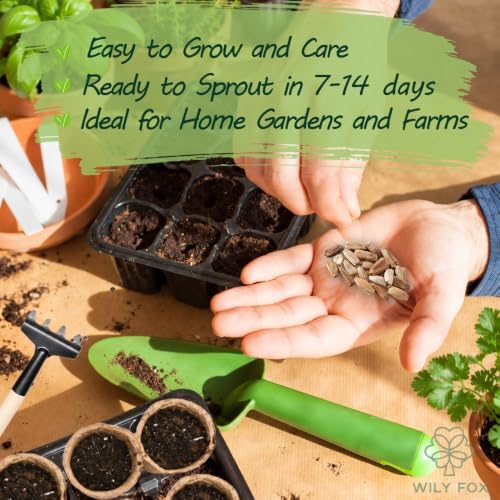 Bottle Gourd Seeds for Planting, Lagenaria siceraria, Heirloom Non-GMO Calabash Birdhouse Gourd Seeds, High Germination Climbing Vegetable Vine for Trellis Gardens Crafts and Containers, 20 Count - Image 4