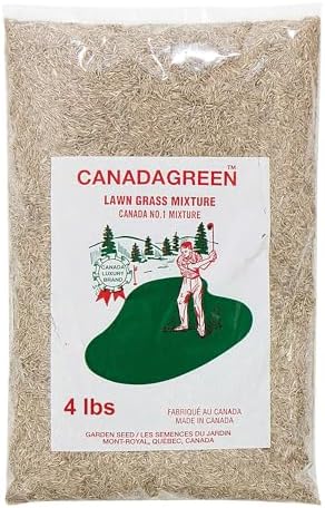 Canada Green Grass Lawn Seed - 4 Pound Bag Grows Healthy Rich Green Fast Growing Grass Lawn Seed Plants Yard Garden - Image 5