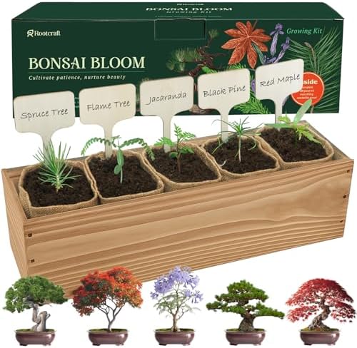 5 DIY Bonsai Tree Kit for Beginners, Complete Indoor Gardening Starter Kit with Seeds, Soils, Pots & Tools, Unique Birthday Gifts Ideas for Women, Men by ROOTCRAFT