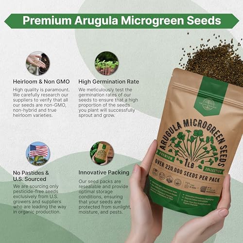 Organo Republic Arugula Sprouting & Microgreens Seeds - Non-GMO, Heirloom Sprout Seeds Kit, 1lb Resealable Bag for & Growing Microgreens in Soil, Coconut Coir, Aerogarden & Hydroponic System. - Image 6