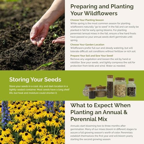 Eden Brothers Late Bloomer Wildflower Mixed Seeds for Planting, 5 lb, 2,400,000+ Seeds with White Yarrow, Snapdragon | Attracts Pollinators, Plant in Spring or Fall, Zones 3, 4, 5, 6, 7, 8, 9, 10 - Image 5