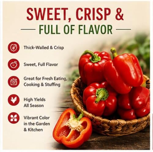 Big Red Bell Pepper Seeds (Capsicum annuum) – 50+ Non-GMO Heirloom Seeds by Isla’s Garden Seeds, Sweet & Crisp Large Peppers, High-Yield Warm-Season Variety for Garden Beds or Containers, Garden Gift - Image 2