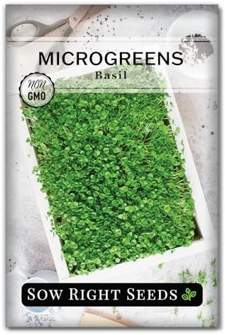 Sow Right Seeds - Basil Microgreen Seed for Growing Sweet Micro Greens by SowRightSeeds