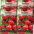 Sow Right Seeds - Large Red Cherry Tomato Seed for Planting Vegetable 4pk by SowRightSeeds