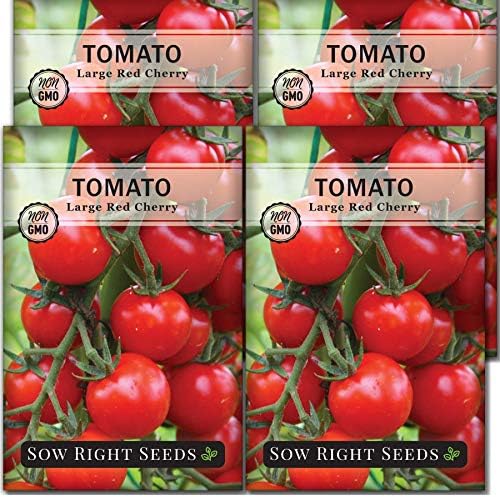 Sow Right Seeds - Large Red Cherry Tomato Seed for Planting Vegetable 4pk by SowRightSeeds