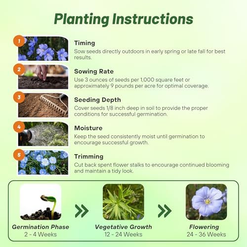 Outsidepride Blue Flax Seeds - 1/4 lb Perennial Flower Seeds for Planting, Self-Seeding, Drought-Tolerant w/Compact Growth, Ideal for Small Gardens, Meadows, Borders, or Mass Plantings - Image 5