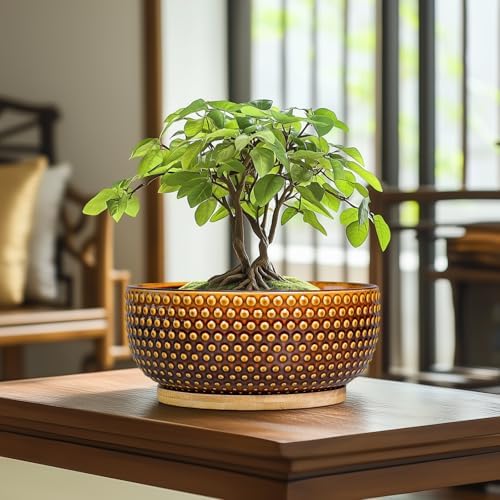 Bonsai Pots - 8 Inch Succulent Bowl for Indoor Plant, Shallow Round Ceramic Planters with Drainage Hole and Saucer, Boho Home Room Office Apartment Decor, Plant Lovers Gifts, Brown - Image 2