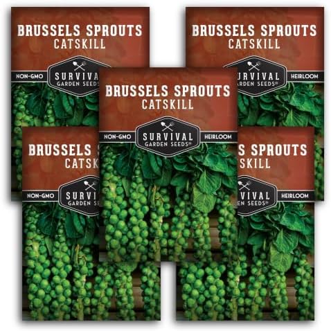 Catskill Brussels Sprout Seeds for Planting (5 Packs) by SurvivalGardenSeeds