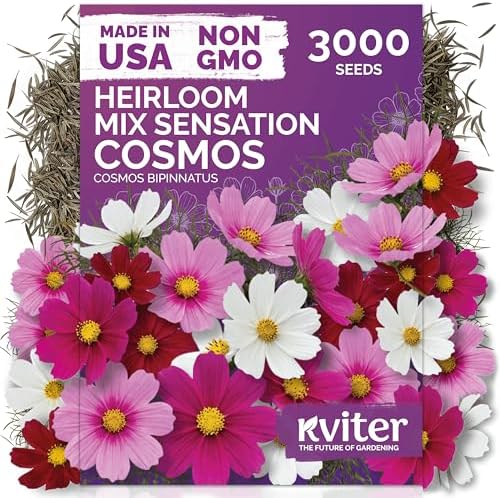 3,000 Mix Sensation Cosmos Heirloom Flower Seeds, Cosmos Bipinnatus by KVITER