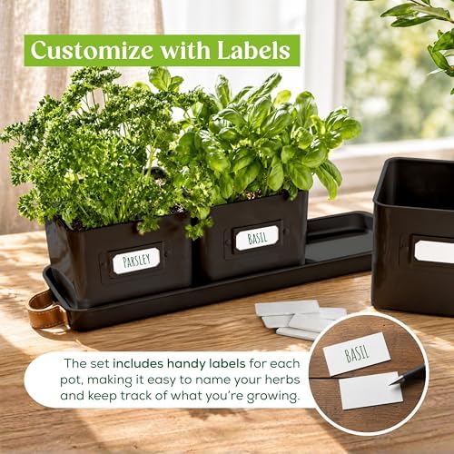 volila Herb Planter Indoor - Set of 3 Black Indoor Herb Garden Pots for Plants with Leather Handled Tray - Window Sill Plant Shelf - Herb Pots with Drainage Holes and Labels - Image 5