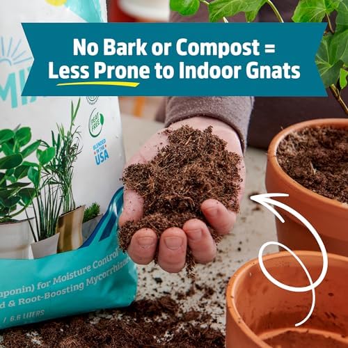 Back to the Roots 100% Organic Indoor Potting Mix (6 Quart), Promotes Healthy Houseplant Growth, Made in The USA - Image 6