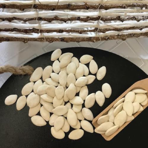 Germack® - Squash Seeds - Roasted and Lightly Salted (2.5lb Bag) - Image 4