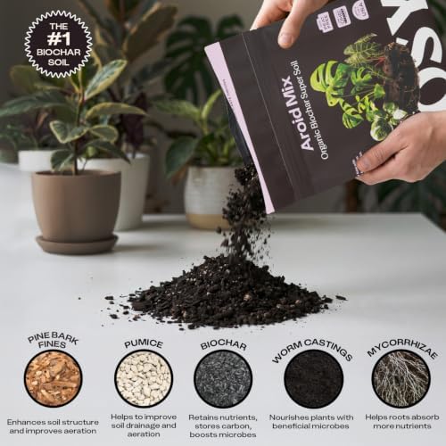 Rosy Soil Aroid Soil Mix, Chunky Biochar Potting Mix, 4 Quarts (Pack of 2) - Image 5