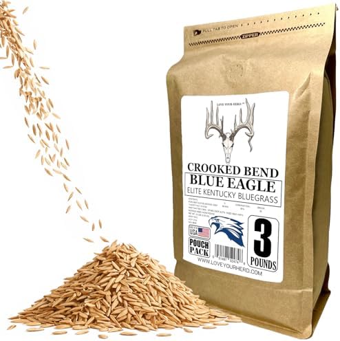 Blue Eagle Kentucky Bluegrass Seed, 3LB, Uncoated & No Fill, Grow Full, Beautiful & Best Yards, Thicken Lawns & Turf, Growing Dark Green Organic Grass Carpet, Plants 580 Square feet by CrookedBend