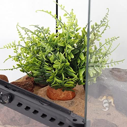 Green Boston Fern Reptile Plants, Amphibian Terrarium Habitat Décor - Image 4