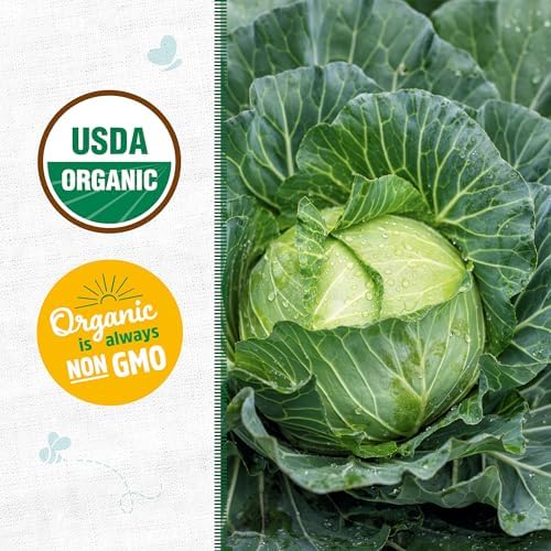 Back to The Roots 100% Organic Seed Packet - Cabbage 'Golden Acre' 140mg - Image 2