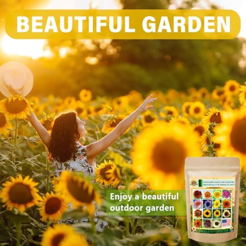 1000+ Sunflower Seeds for Planting Heirloom Non-GMO, Bulk Package of 15 Varieties Mix Seeds, Individually Packaged, Attracts Pollinators (Helianthus annuus) - Image 5
