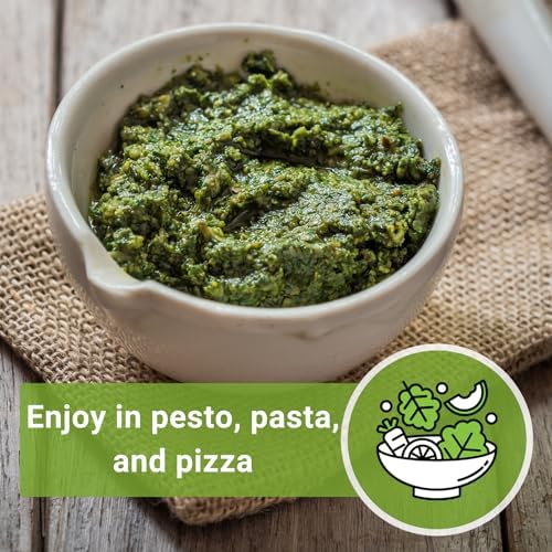 Sow Right Seeds - Greek Sweet Basil Seed for Planting in Your Herb Garden - Image 5