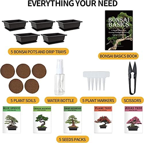 Meekear Bonsai Tree Kit with Complete Plant Growing Tools, Grow in Pot Indoor Bonsai Tree Starter Kit, Home Gardening DIY Gift for Adult - Image 2