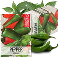 Seed Needs Serrano Hot Pepper Seeds to Plant Vegetables - 10 Packs by SeedNeeds