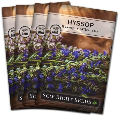 Sow Right Seeds- Hyssop Seed for Planting Perennial Medicinal Herb 4pk by SowRightSeeds