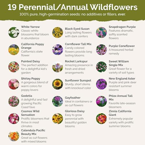 Eden Brothers Late Bloomer Wildflower Mixed Seeds for Planting, 5 lb, 2,400,000+ Seeds with White Yarrow, Snapdragon | Attracts Pollinators, Plant in Spring or Fall, Zones 3, 4, 5, 6, 7, 8, 9, 10 - Image 3