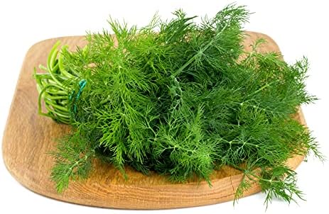 Culinary Herb Seeds Variety Pack – Genovese Basil, Italian Flat Leaf Parsley, Cilantro, Dill – Non-GMO, Heirloom, USA-Grown Herb Garden Seeds for Indoor or Outdoor Growing – Kitchen Essentials for Cooking - Image 2