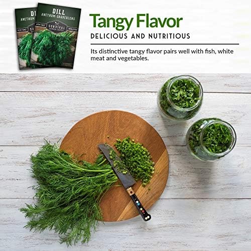 Dill Seeds for Planting – Heirloom Bouquet Variety (1 Pack) - Image 5