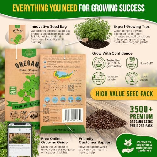 Oregano Seeds Pack 0.25 G - Over 3500 Non-GMO Heirloom Italian Vulgare Oregano Seeds for Planting - Image 3
