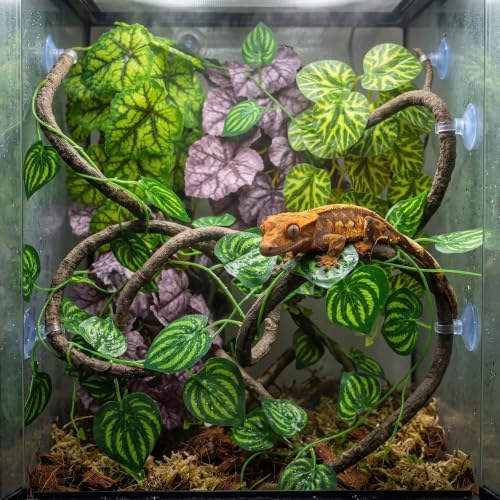 5 Pcs Reptile Plants & Habitat Decor Kit - 3 Artificial Plants & Large 5ft Jungle Vine Branch, Terrarium Tank Decor & Climbing Accessories for Gecko (Lime Heuchera, Purple Heuchera, Vein Begonia) - Image 2