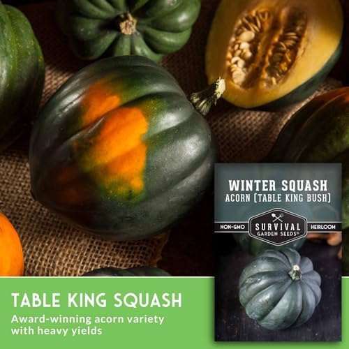 Acorn Squash Seeds for Planting – Survival Garden Seeds (5 Pack) - Image 3