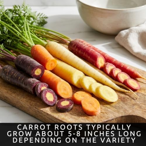 Rainbow Carrot Seeds for Planting | 100 Seeds | Colorful Garden Vegetable - Image 5