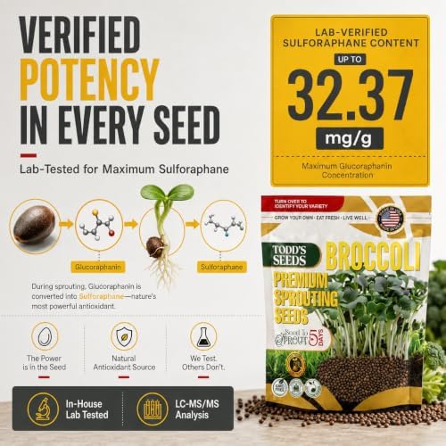 Broccoli Sprouting Seeds, 2 lb Bulk - Non-GMO - Image 4