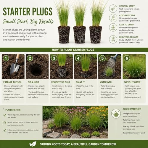 3 Blue Wood Sedge (Carex flaccosperma) Live Plant Plug – Native Evergreen Ornamental Grass – Shade Loving Groundcover – Low Maintenance Landscape Perennial (3 Plugs) - Image 6