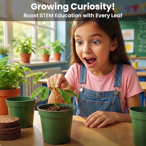 Classroom or Homeschool Science Fun Planting Party Kit – for 30 Students – Grow a Sensitive Plant that Reacts to Touch – Includes Activity Book and Seeds for Kids to Plant - Image 4