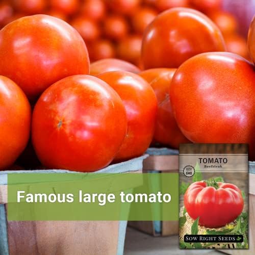 Sow Right Seeds - Beefsteak Tomato Seed for Planting Beef Steak Tomatoes - Image 3