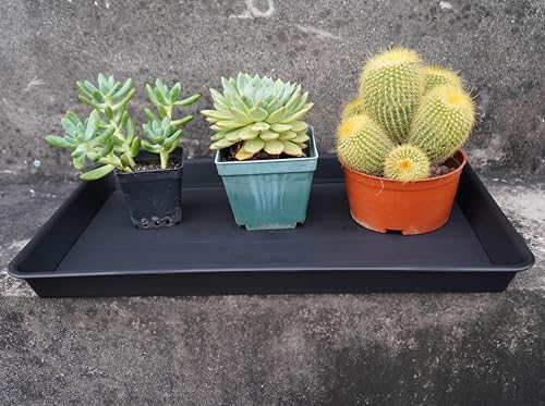 VUWEZ Plant Growing Trays 6 Pack, Plant Tray, 14.5"x11", Heavy Sturdy Plastic Plants Saucer, Seedling Starter Trays, Seed Starter Growing Tray (Black) - Image 5
