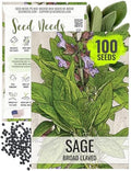Seed Needs Broad Leaved Sage Seeds to Plant an Herb Garden - 1 Pack by SeedNeeds