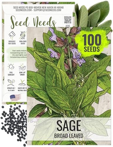 Seed Needs Broad Leaved Sage Seeds to Plant an Herb Garden - 1 Pack by SeedNeeds
