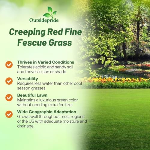 Outsidepride Creeping Red Fescue Grass Seed - 10 Lbs. Perennial, Pure Raw Seed w/ 0.00% Other Crop & Weed Seed - Image 6