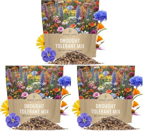 Drought Tolerant Wildflowers Mix – Extra Large Packet – Over 7,500 Open Pollinated Non-GMO Seeds – 21 Different Dryland Species (Pack of 3) by SweetYards