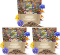Drought Tolerant Wildflowers Mix – Extra Large Packet – Over 7,500 Open Pollinated Non-GMO Seeds – 21 Different Dryland Species (Pack of 3) by SweetYards