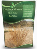 Outsidepride Perennial Little Bluestem Grass Seed - 25 lbs. Warm Season, Drought Resistant, Long-Lived Native Prairie Grass Seed, Ideal for Erosion Control, Ornamental Landscaping & Wildlife Gardens by Outsidepride