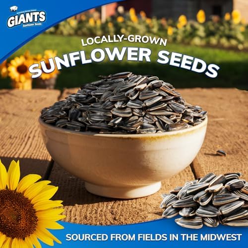 GIANTS Original Sunflower Seeds - Bulk, Lightly Salted for Eating, Shelled, 8g Protein Per Serving - 12 Oz Bag - Image 3
