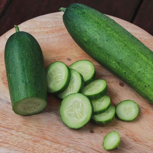 Eden Brothers Cucumber Seeds - Straight 8 by EdenBrothers