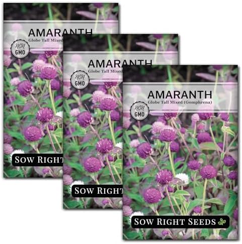 Sow Right Seeds - Tall Mixed Globe Amaranth Seed for Planting Gomphrena 3pk by SowRightSeeds