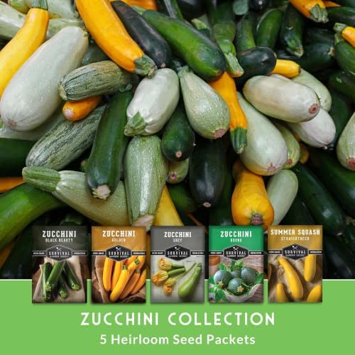 Zucchini & Summer Squash Seeds Collection for Planting - Image 3