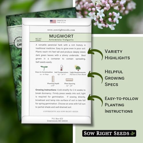 Sow Right Seeds - Mugwort Seed for Planting Perennial Medicinal Herb - Image 2