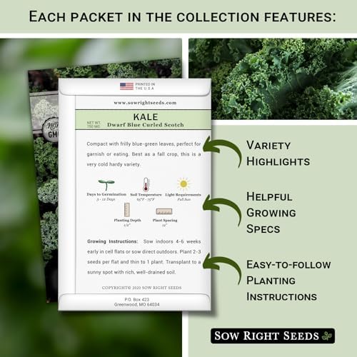 Sow Right Seeds - Kale Seed Collection for Planting Vegetable Garden - Image 2