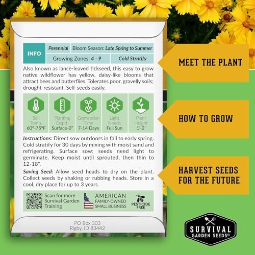 Lanceleaf Tickseed Seeds for Planting, Coreopsis Lanceolata - 1 Pack - Image 2